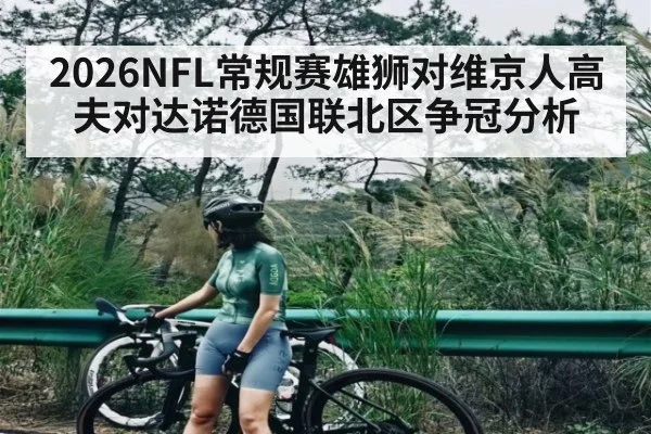2026NFL常规赛雄狮对维京人高夫对达诺德国联北区争冠分析